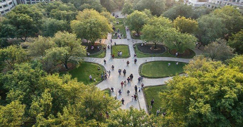 Inventário de Carbono: Transforme Sua Estratégia de Sustentabilidade