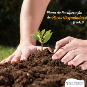 due-diligence-ambiental-05