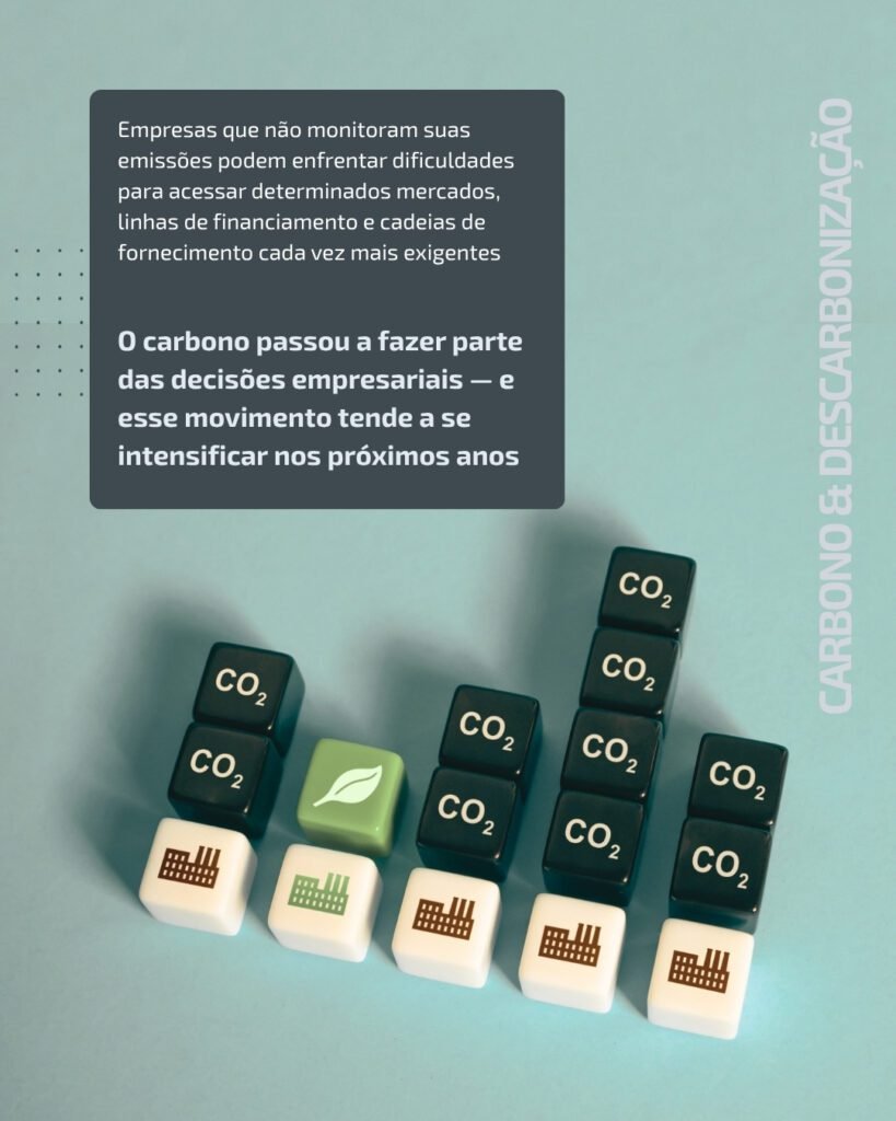 PRO-AMBIENTE - Artes Inventario de Carbono (2)
