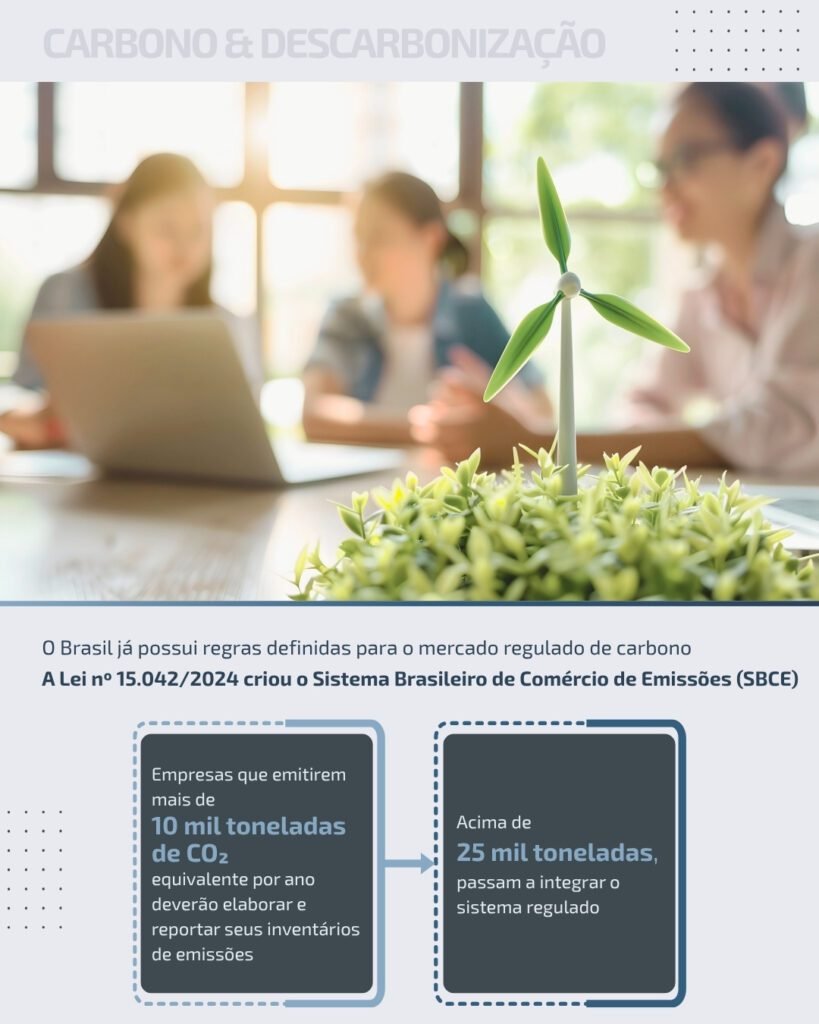 PRO-AMBIENTE - Artes Inventario de Carbono (3)